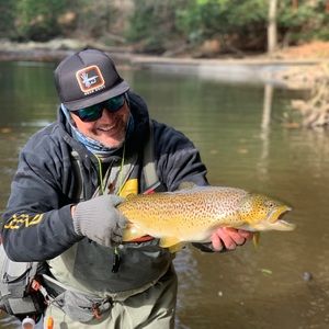 Meet your Posher, Matt